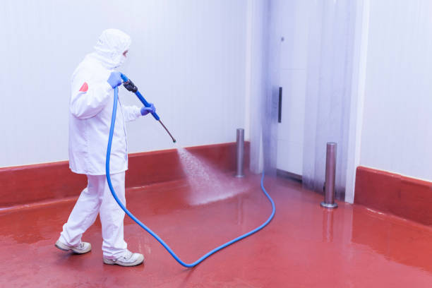 Best Sidewalk and Walkway Pressure Cleaning in West Hills, NY